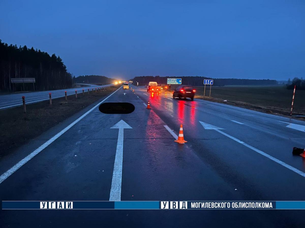 В ДТП в Осиповичском районе погибла пешеход