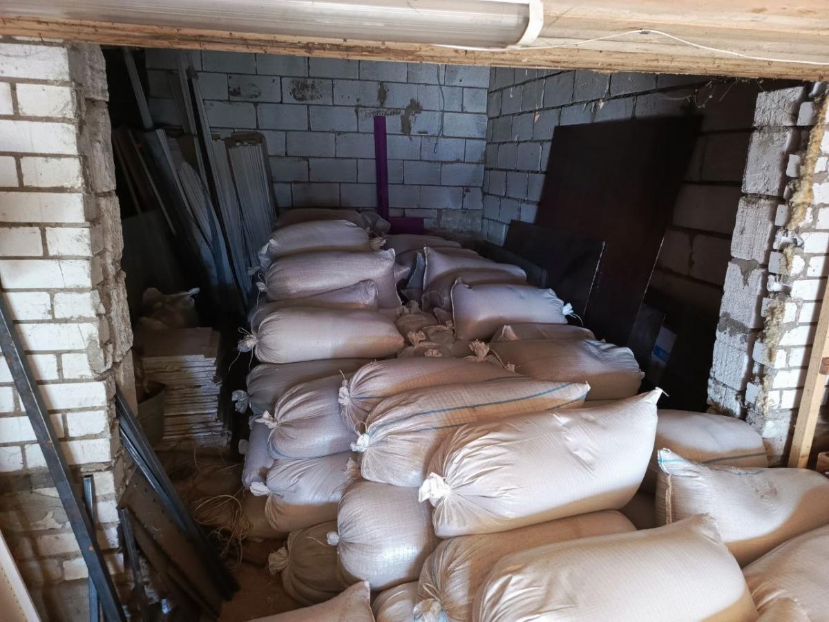 В Белыничах водитель сельхозорганизации похитил почти 8 тонн пшеницы