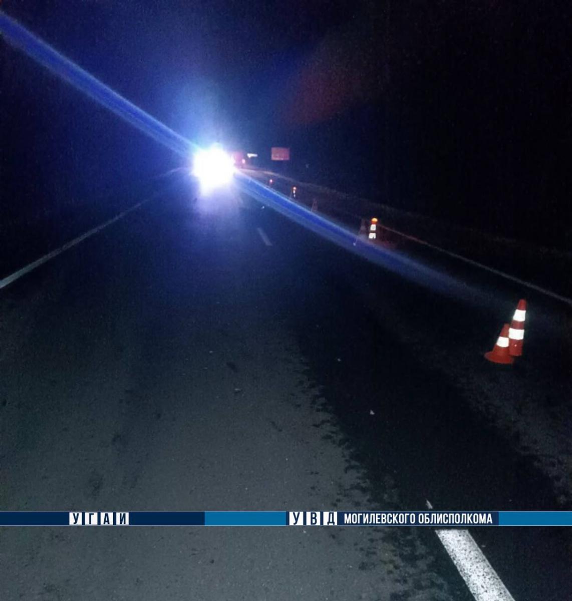 В Могилевском районе в ДТП погиб пешеход