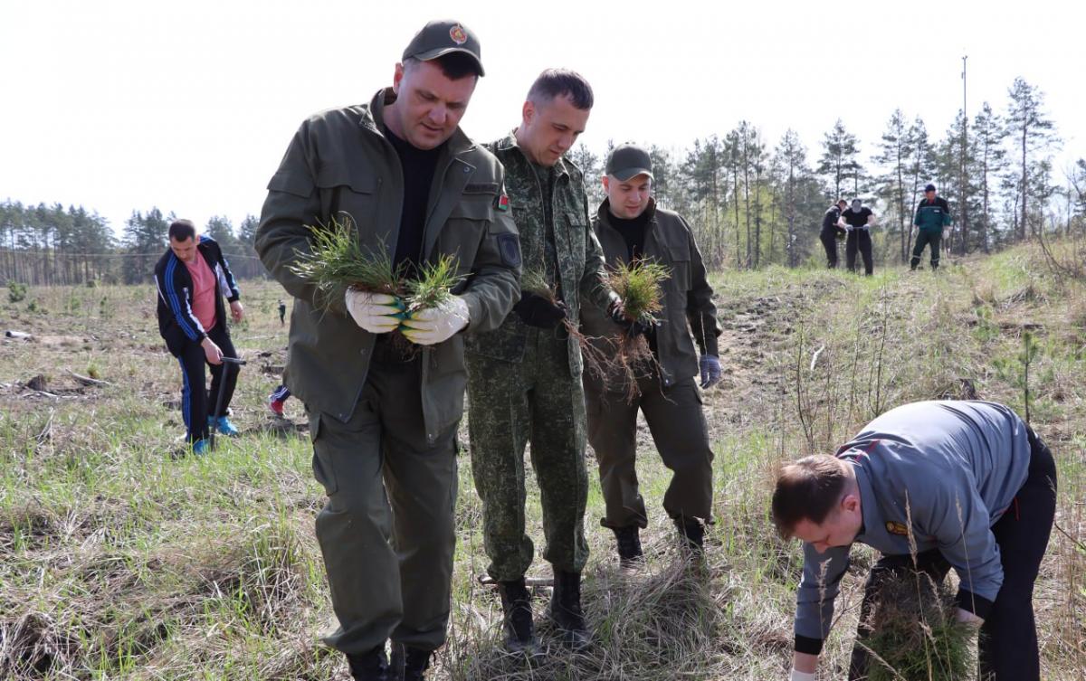 Бобруйские милиционеры присоединились к акции «Аднавім лясы разам!»