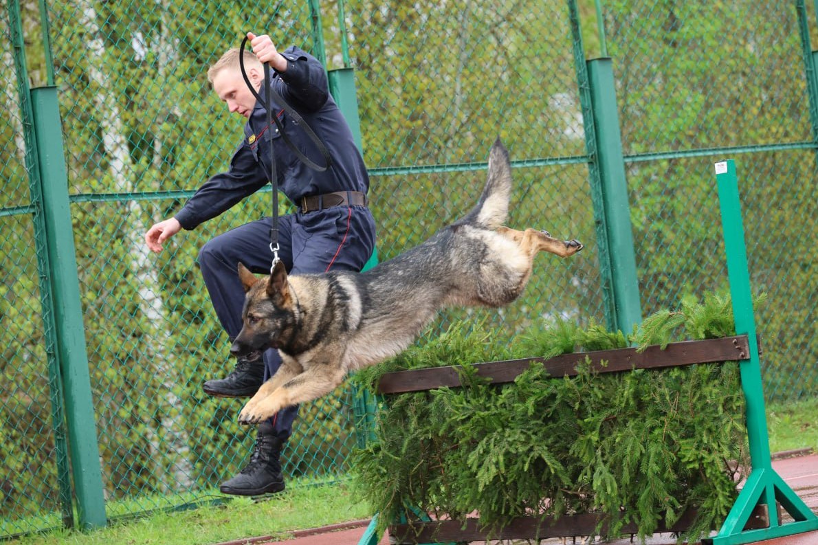 Могилевское областное управление охраны заняло третье место в соревновании кинологов