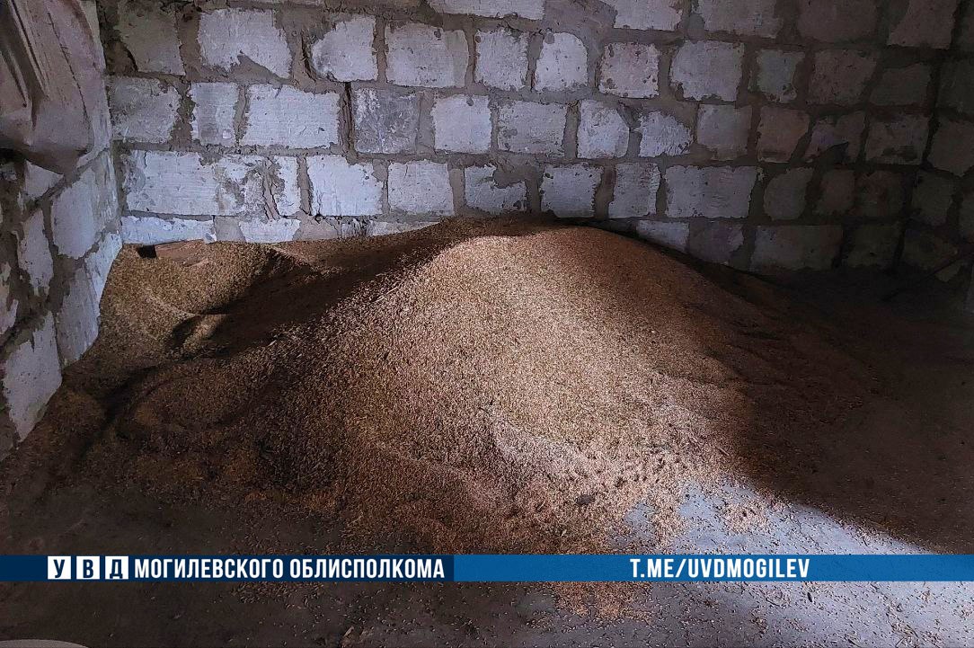 Около 800 кг похищенного зерна изъято в Кличевском районе