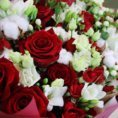 Поздравление с Днем охраны окружающей среды