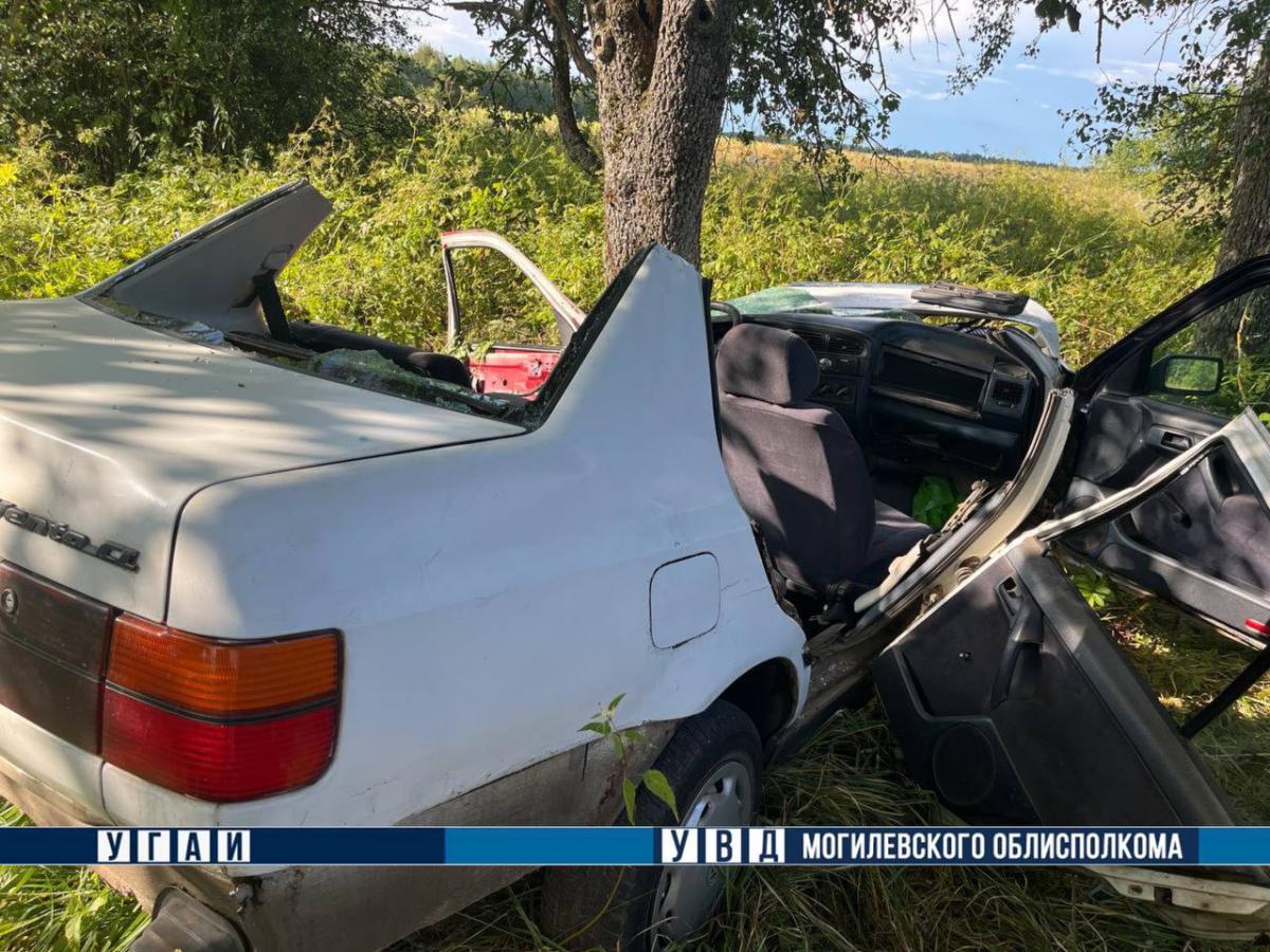 В ДТП в Климовичском районе пострадали водитель и пассажир