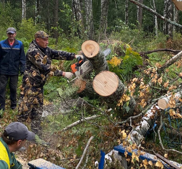 Профактив Чаусского района помог устранить последствия урагана