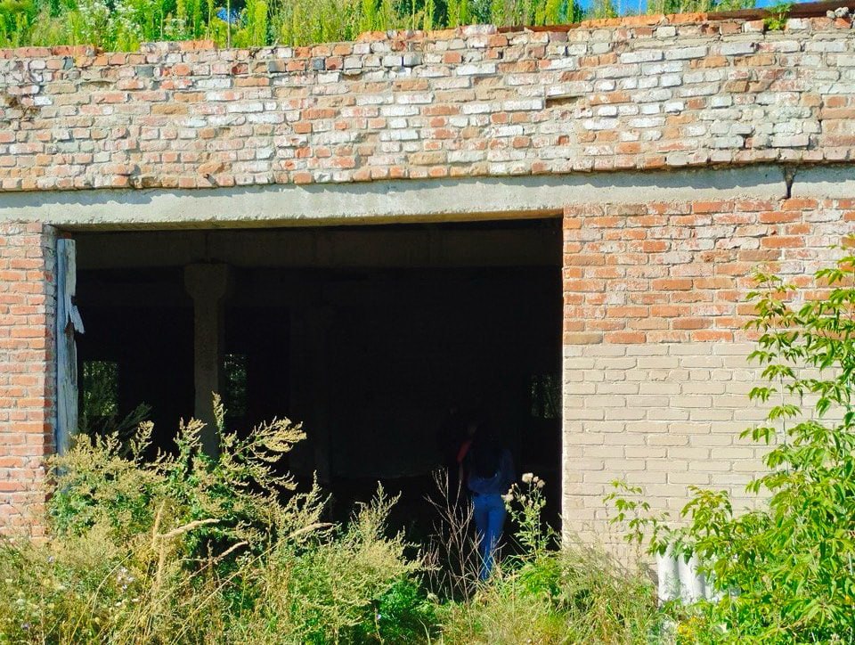 Почти 270 г марихуаны изъято у жителя Хотимска