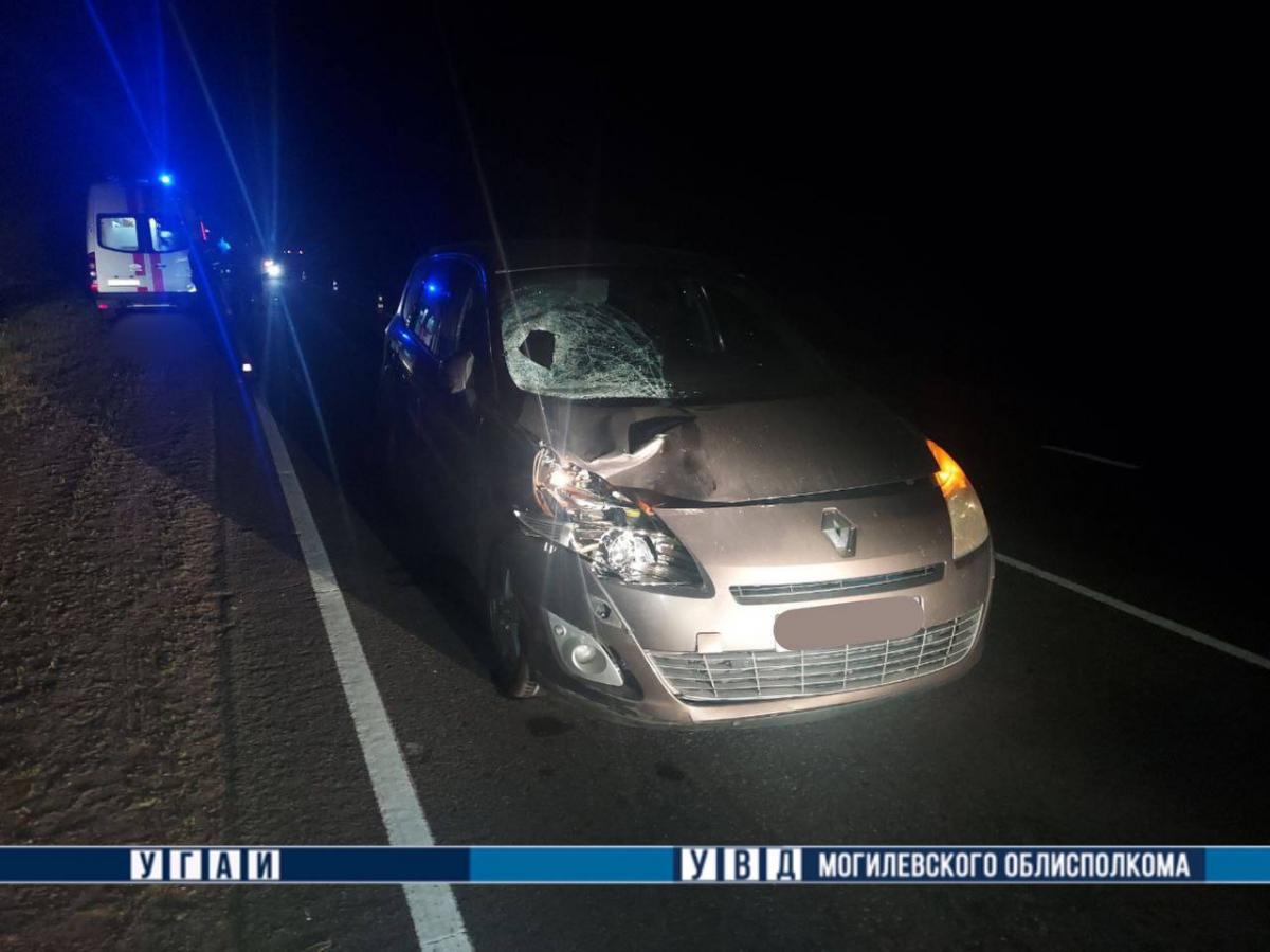 В Могилевском районе в ДТП погиб пешеход
