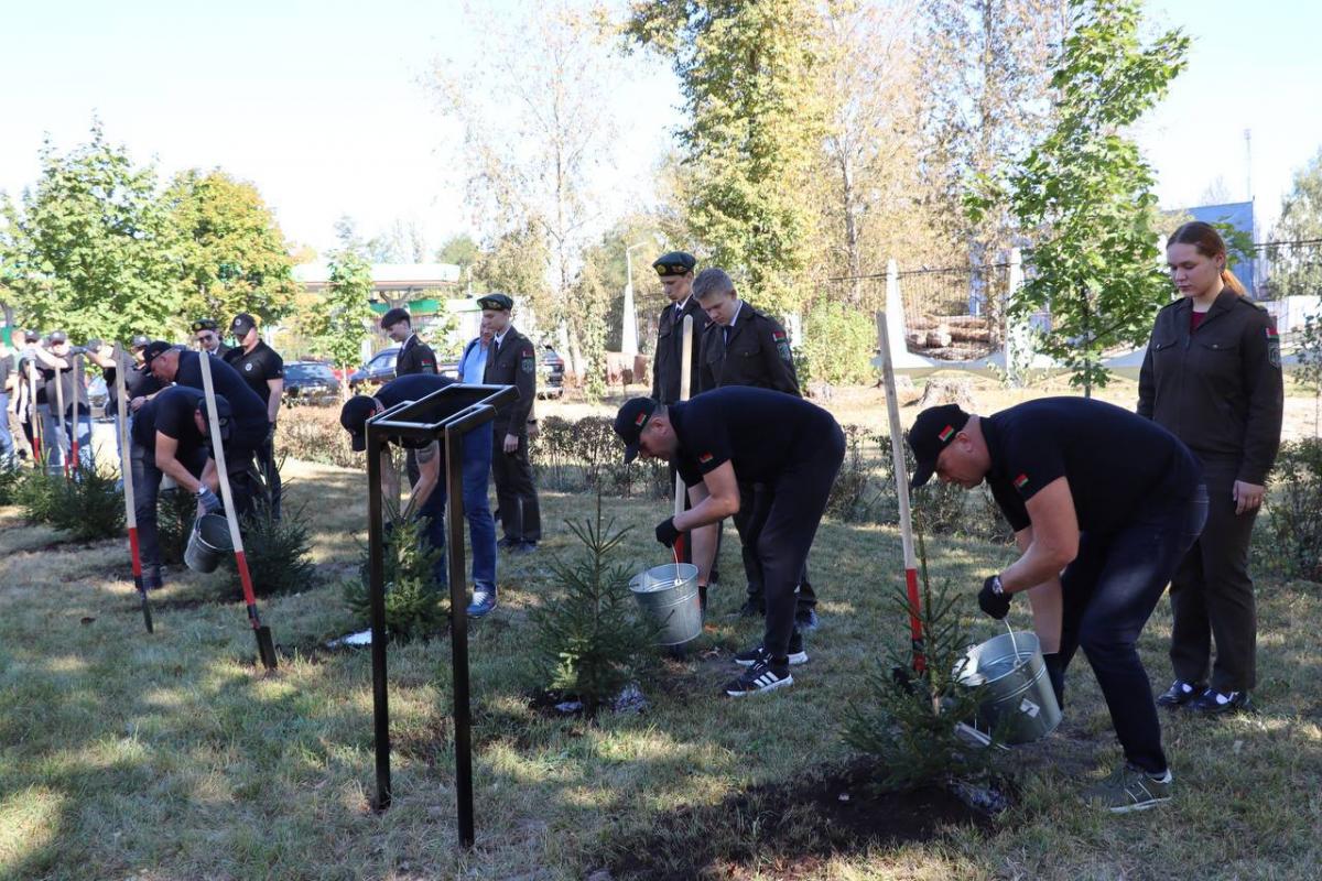 В Бобруйске заложили памятную аллею