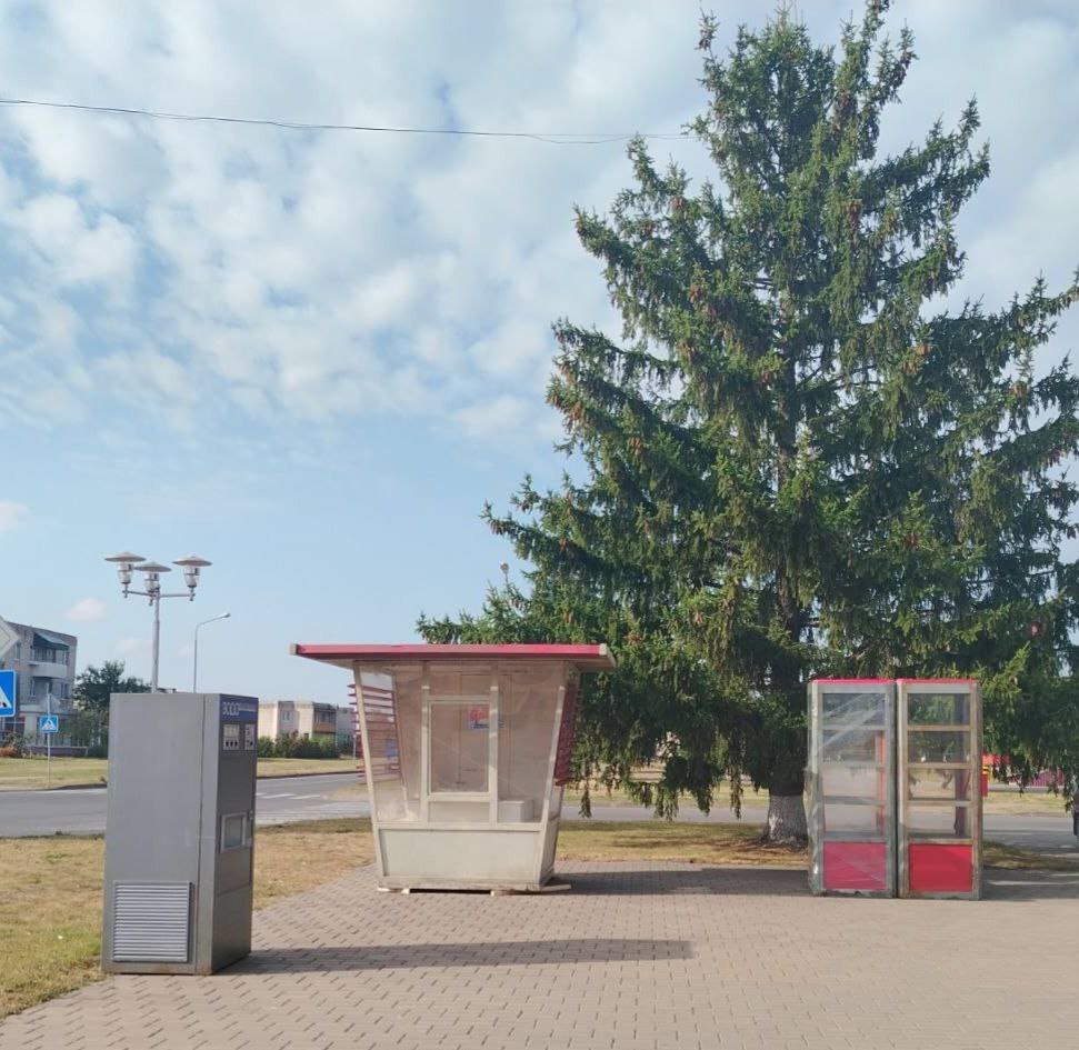 Мышковичи Кировского района станут съемочной площадкой для нового фильма