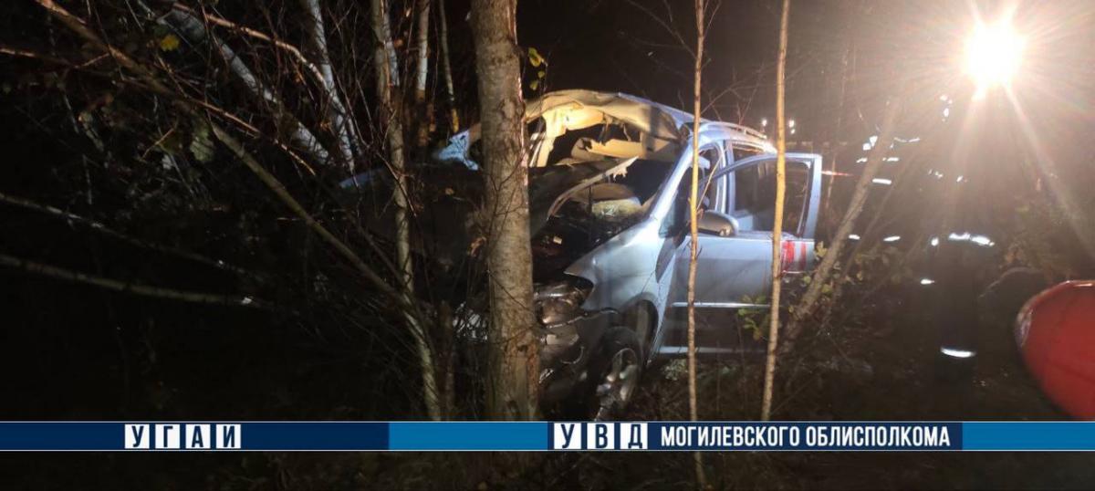 Лось стал причиной смертельного ДТП в Могилевском районе