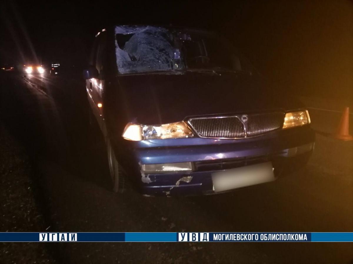 В Чаусском районе в ДТП погиб пешеход