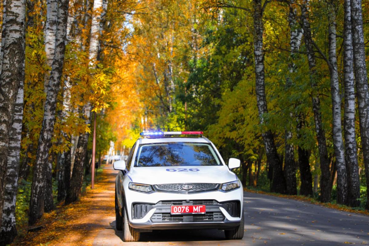 1268 нарушений ПДД выявили за выходные в Могилевской области