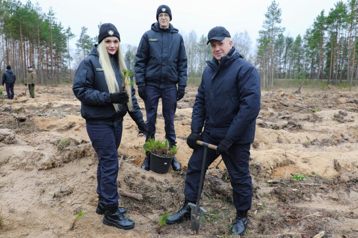 Начальник УВД принял участие в акции «Дай лесу новае жыццё!»