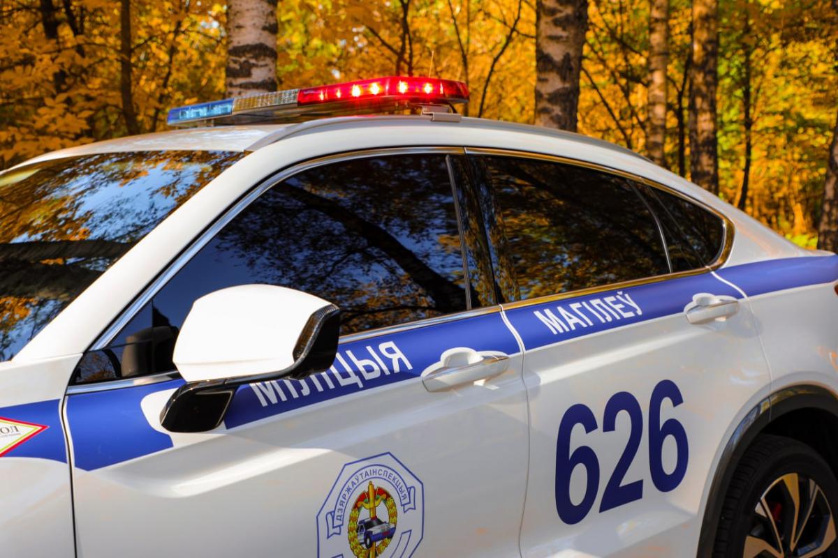 Дорожная безопасность пешеходов под контролем Госавтоинспекции