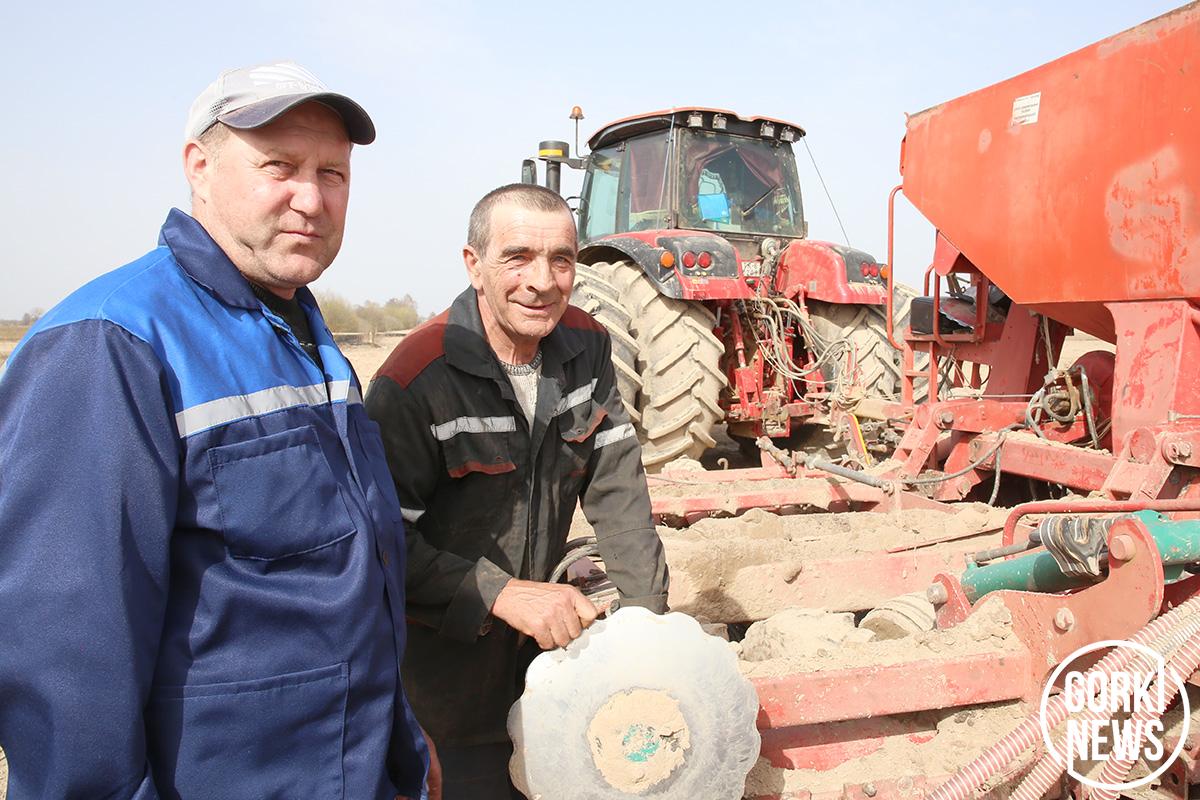 Земледельцы ОАО «Горецкая райагропромтехника» лидируют по темпам сева в районе