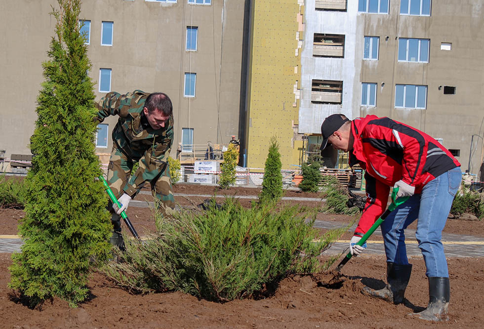 Более 20 тысяч кустарников высажено этой весной в Могилеве