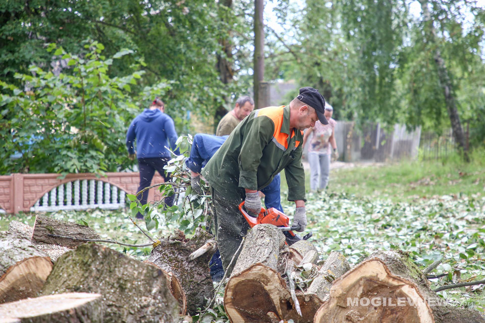 Жители агрогородка Новый Быхов восстанавливают пострадавший от стихии парк. Фото