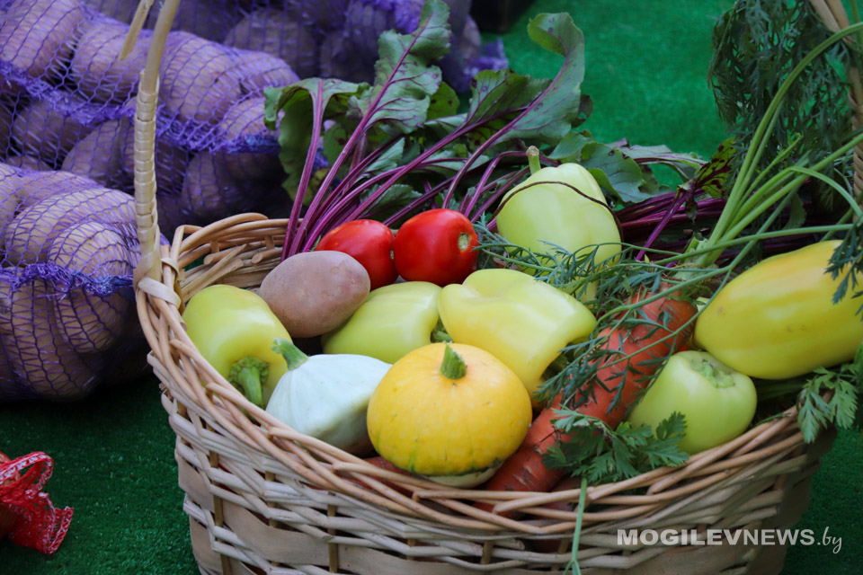 В Могилевской области планируется заложить в стабфонд более 12,1 тыс. тонн плодоовощной продукции
