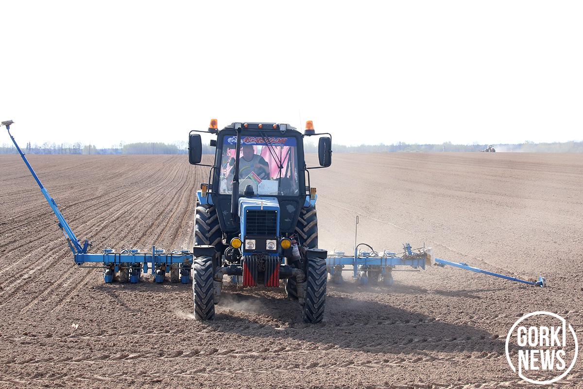 Посев сахарной свеклы в ОАО «Маслаки» Горецкого района идет полным ходом