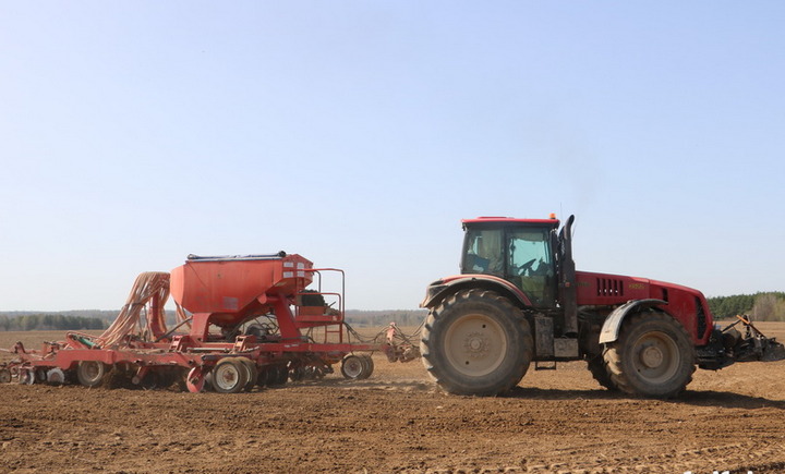 На полях производственного участка «Коровчино» ОАО «Трилесино-агро» Дрибинского района работа идет полным ходом