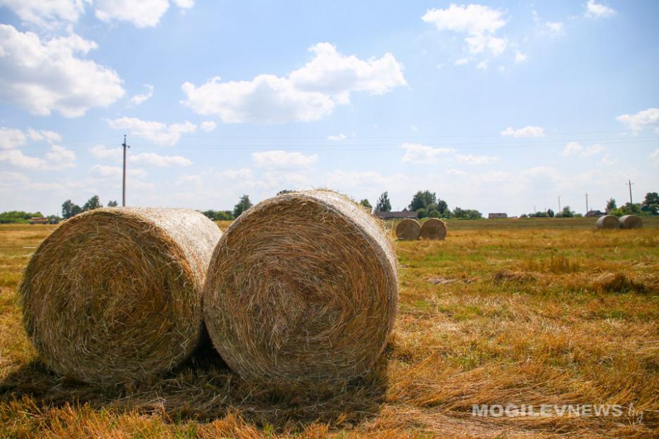 Погода на выходные: по-прежнему жара до +32°С