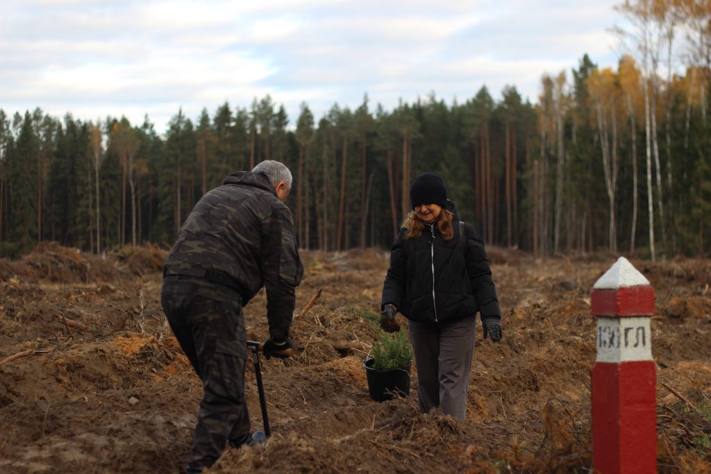 «Дай лесу новае жыццё!»: профсоюзы Могилевщины высадили 40 тыс. саженцев сосны и ели