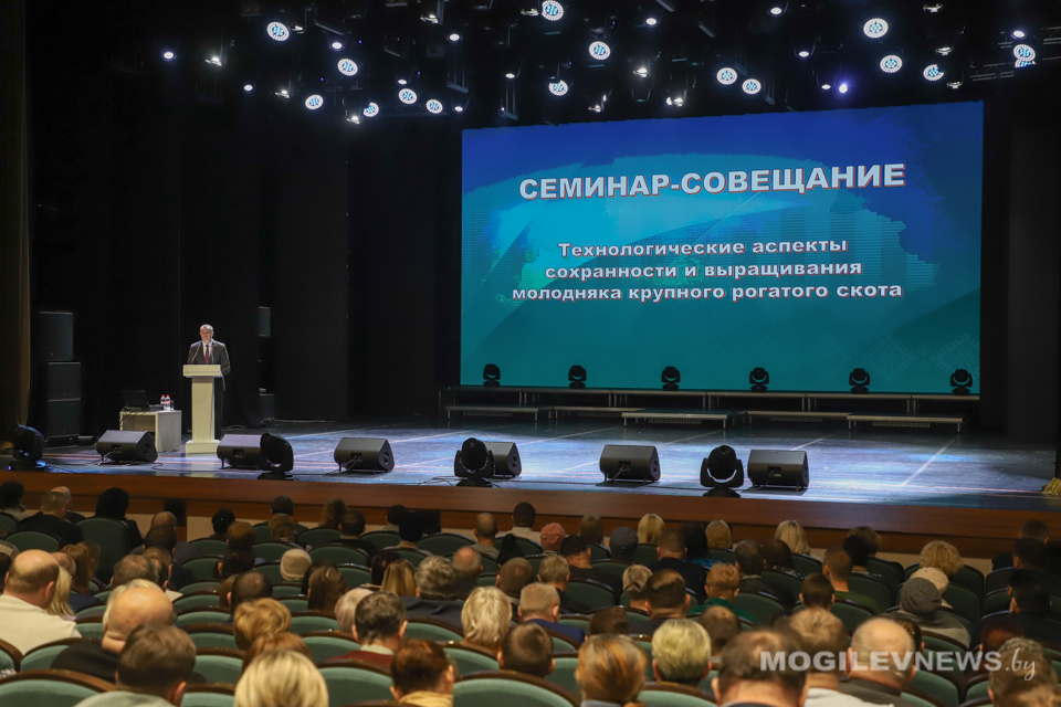 Сохранность и выращивание молодняка КРС. Областной семинар-учеба сельскохозяйственной тематики прошел в Могилеве. Фото