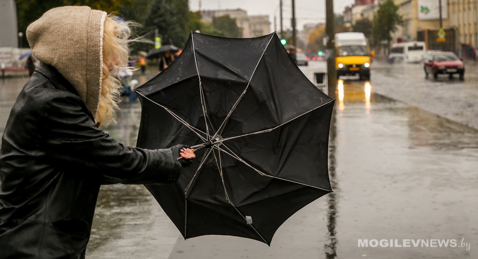 Погода на выходные: дождливо, прохладно и ветрено. В ночь на субботу - заморозки