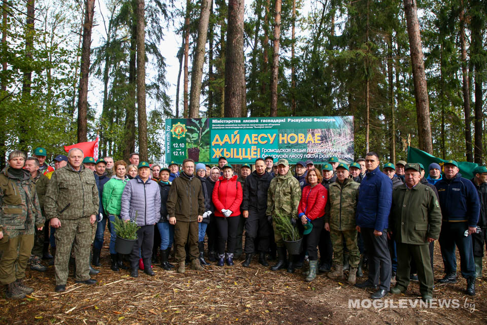 В Быховском районе к акции «Дай лесу новае жыццё» присоединились представители Администрации Президента Республики Беларусь. Фото