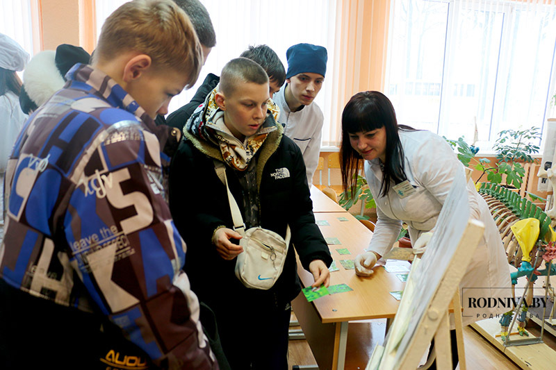 В Климовичском аграрном колледже провели фестиваль профессий