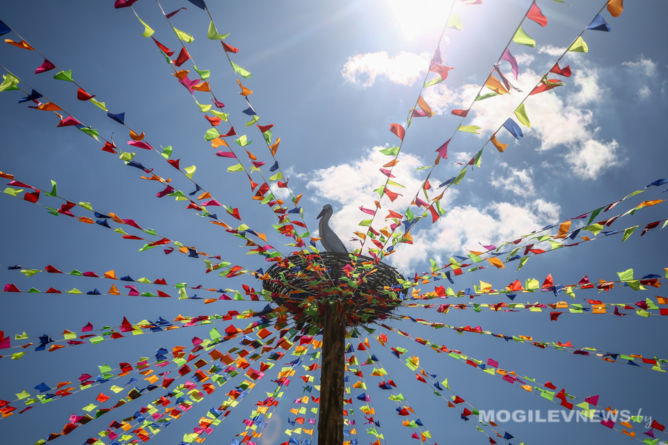 Областной этап "Властелина села" пройдет 15 июня в агрогородке Вишов Белыничского района