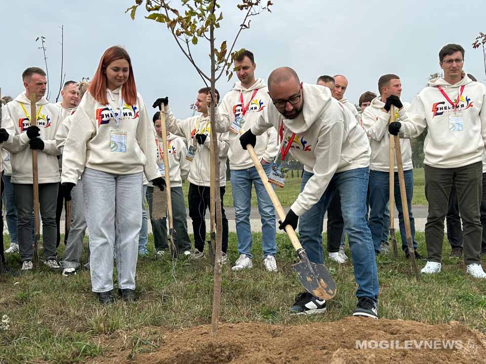 «Аллею энергетиков» высадили в парке Подниколье