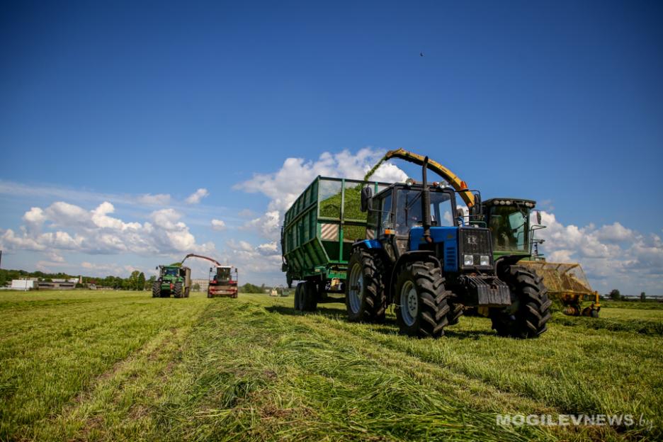 В Беларуси травы первого укоса скошены на более чем 1 млн га