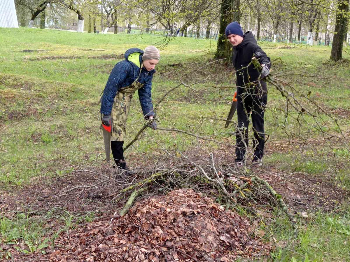 Школьники из аг Филатово поучаствовали в республиканской акции «Сад надежды»