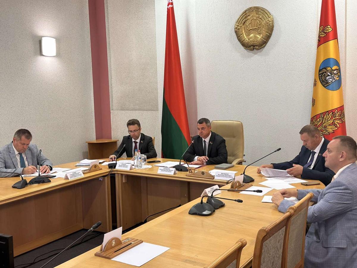 Заседание по теме «Парламентское сопровождение сотрудничества в области экономической интеграции регионов России и Беларуси» с Хабаровским краем прошло в Могилеве