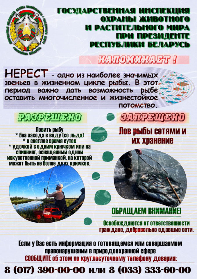 Специальное комплексное мероприятие «Нерест» пройдёт на Могилевщине