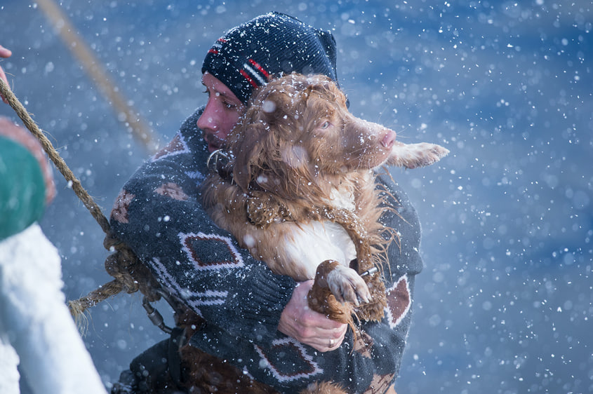 Погода как главный герой: пять фильмов про непредсказуемость стихий