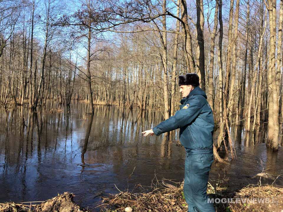 Весенний паводок: Друть и Лохва подтапливают дороги, мосты и участки в Могилевском районе
