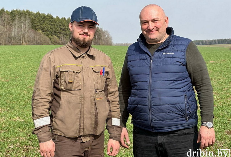 В планах КФХ «Константин» Дрибинского района расширение площадей, внедрение новых технологий и увеличение производства элитных семян