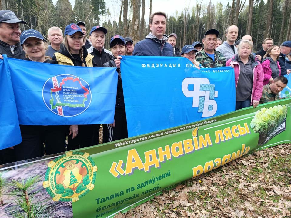«Аднавім лясы разам»: профсоюзы Могилевской области подключились к республиканской акции