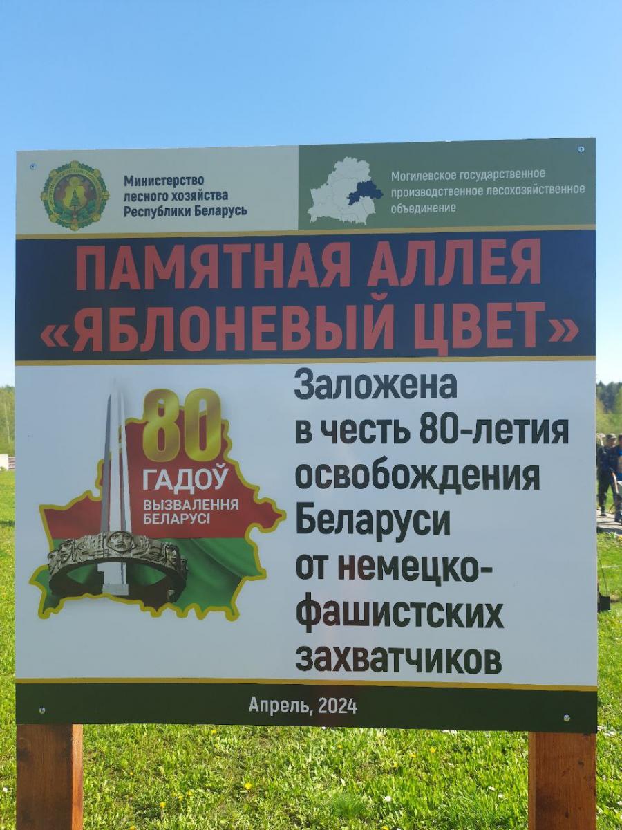 Памятная аллея в честь 80-летия освобождения Беларуси от немецко-фашистких захвачиков появилась в Горецком лесхозе