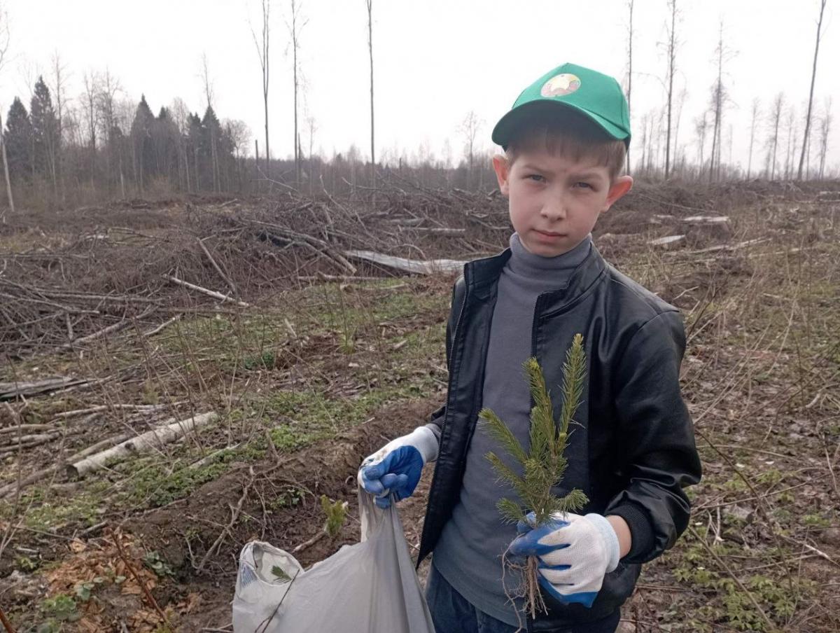 Ходосовская средняя школа Мстиславского района победила в республиканской акции  "Аднавiм лясы разам!"