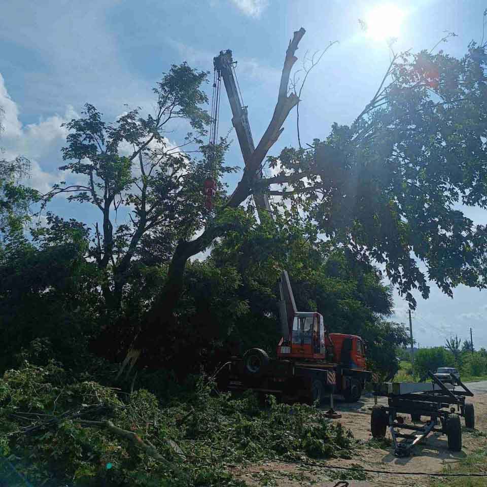 Последствия стихии на Могилевщине практически устранены