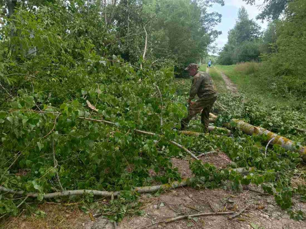 Как Костюковщина справилась с последствиями урагана