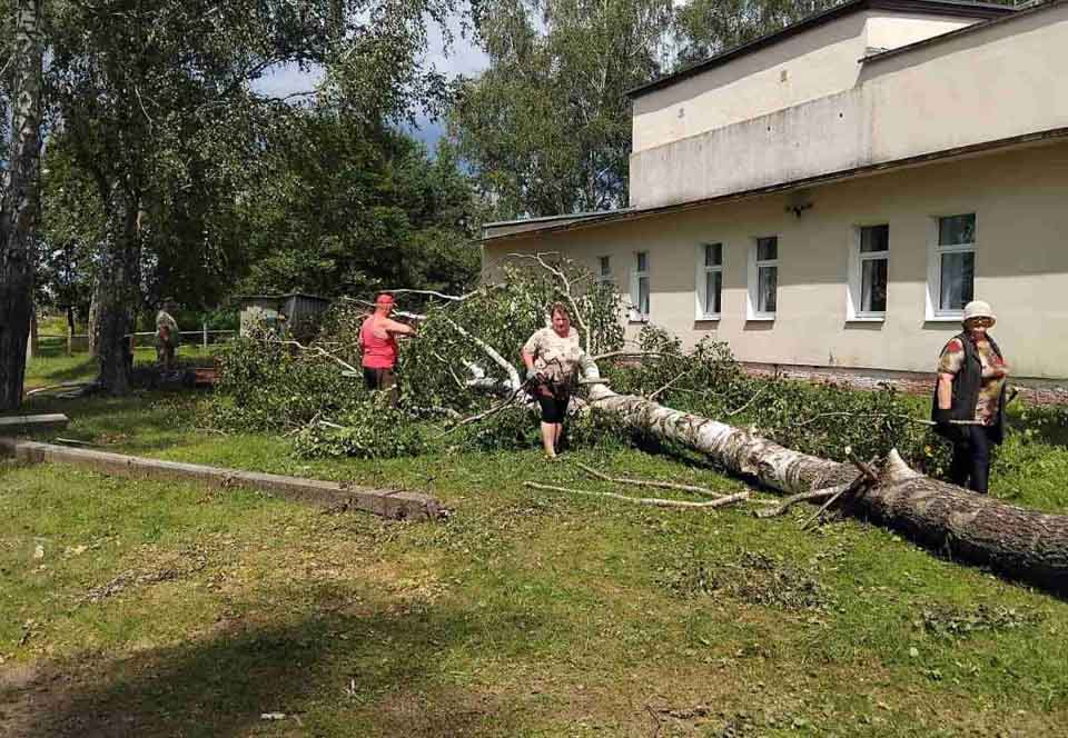 Последствия урагана ликвидируют на Быховщине