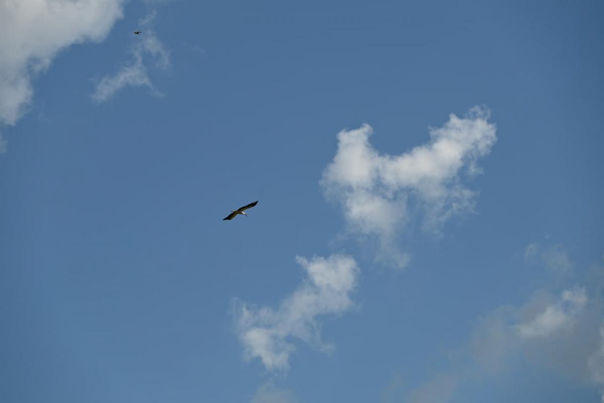 Погода на неделю: дожди, грозы и до +28°С