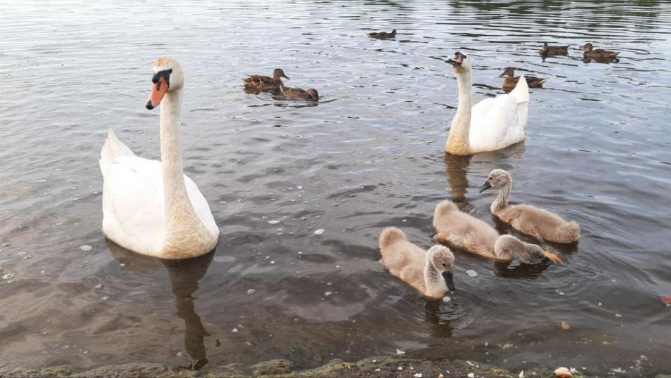 Погода на выходные: до +30°С, дожди, местами грозы