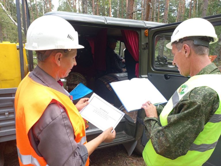 Профсоюзный мониторинг: разработка ветровально-буреломных лесосек проходит в штатном режиме