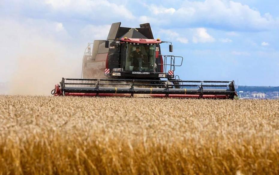 Урожай-2024. В Беларуси с учетом рапса собрано 7,78 млн тонн зерна