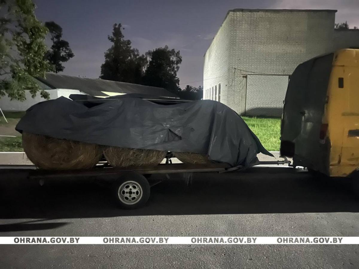 В Быхове бесправник устроил гонку с преследованием